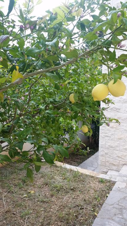 ספליטסקה Vacation Villa Brac מראה חיצוני תמונה
